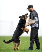 20181102_BrianAghajani_01491-2