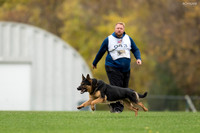 20181102_BrianAghajani_01397-2