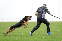 20181102_BrianAghajani_00340-3