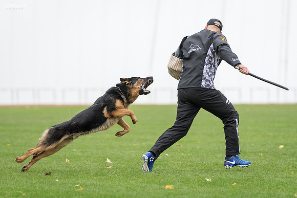 20181102_BrianAghajani_00340-3