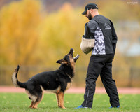20181102_BrianAghajani_01440-2