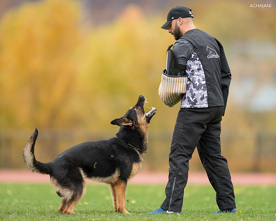 20181102_BrianAghajani_01440-2