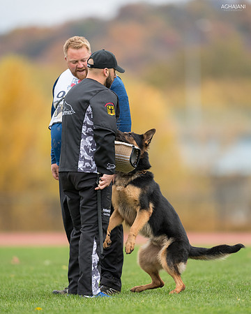 20181102_BrianAghajani_01545-2