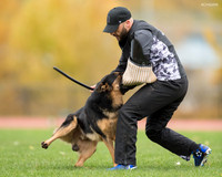 20181102_BrianAghajani_01512-2