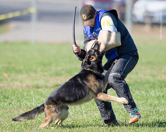 Ken Stuedle & Arko