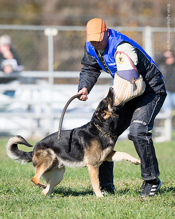 Ken Stuedle & Arko