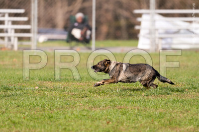 20151115_17722_USCA.Nationals.jpg