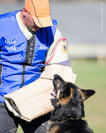 Ken Stuedle & Arko
