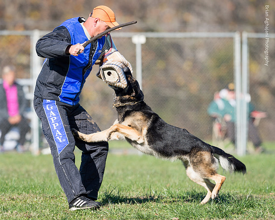 Ken Stuedle & Arko