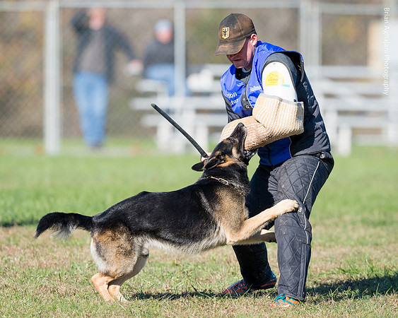 Ken Stuedle & Arko