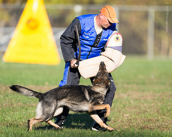 20151114_8913_USCA.Nationals.jpg