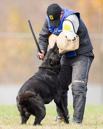 20151115_19527_USCA.Nationals.jpg
