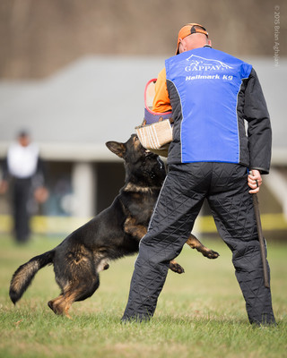 20151115_19888_USCA.Nationals.jpg