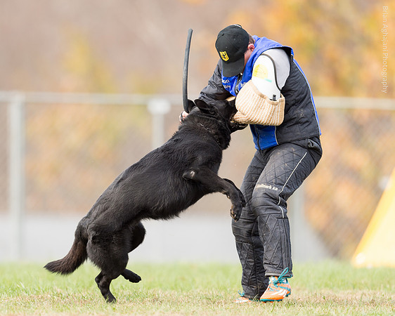 20151115_19524_USCA.Nationals.jpg