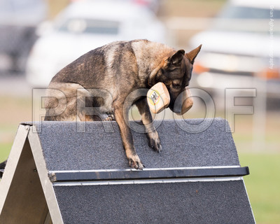 20151115_16498_USCA.Nationals.jpg