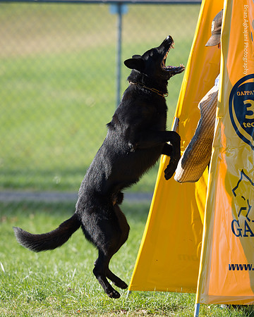 20151114_9511_USCA.Nationals.jpg