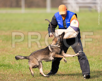 20151115_17747_USCA.Nationals.jpg