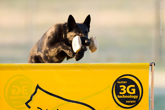 20151114_8167_USCA.Nationals-2.jpg