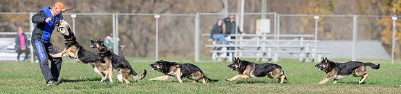 Ken Stuedle & Arko