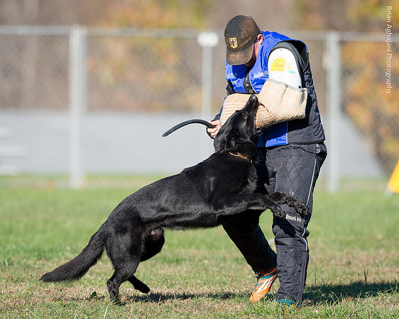 20151114_9620_USCA.Nationals.jpg