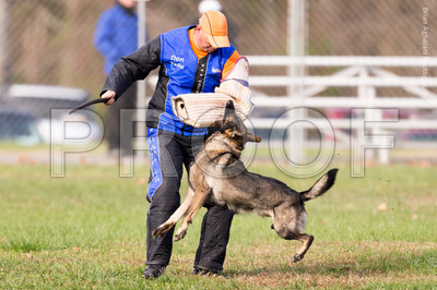 20151115_17728_USCA.Nationals.jpg