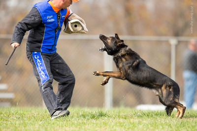 20151115_19830_USCA.Nationals.jpg