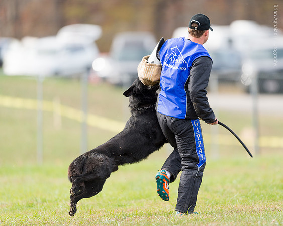 20151115_19469_USCA.Nationals.jpg