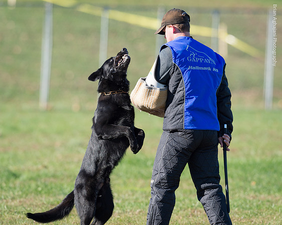 20151114_9572_USCA.Nationals.jpg