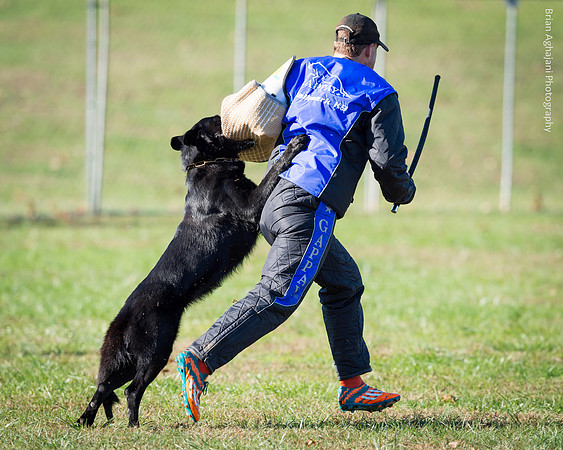 20151114_9533_USCA.Nationals.jpg