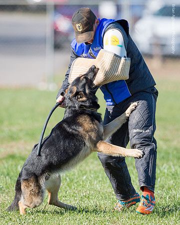 Ken Stuedle & Arko