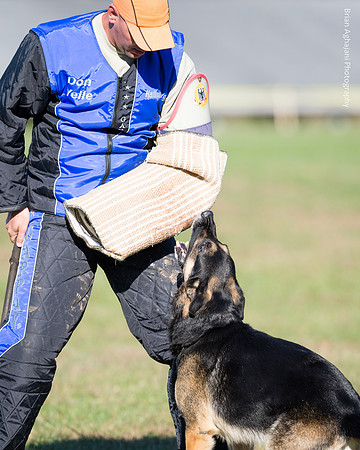 Ken Stuedle & Arko