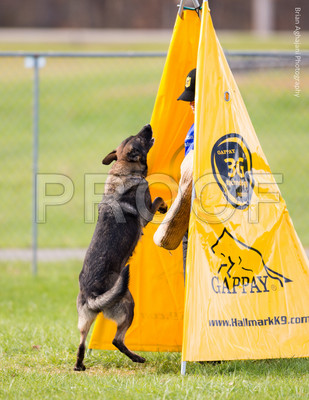 20151115_17660_USCA.Nationals.jpg