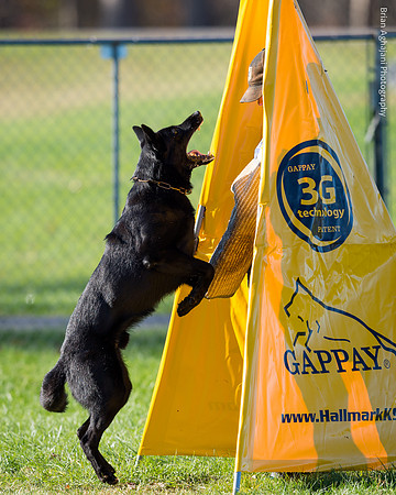 20151114_9493_USCA.Nationals.jpg