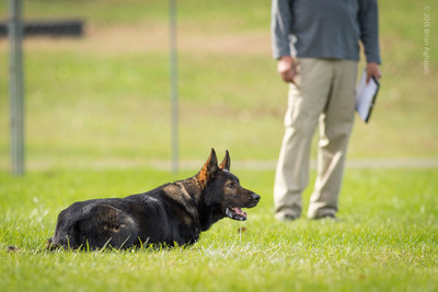 20151115_19759_USCA.Nationals.jpg