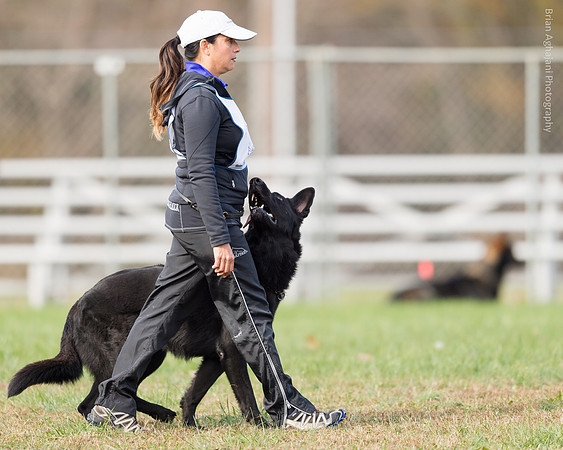 20151115_17964_USCA.Nationals.jpg