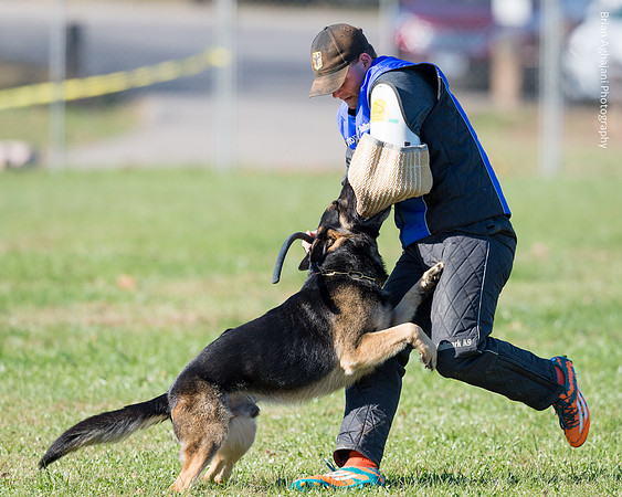 Ken Stuedle & Arko