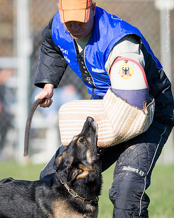 Ken Stuedle & Arko