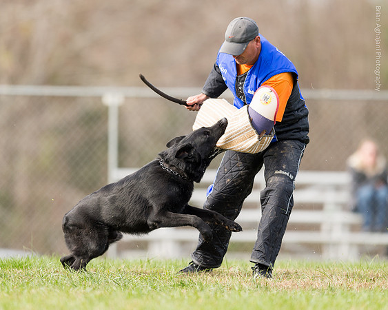 20151115_19599_USCA.Nationals.jpg