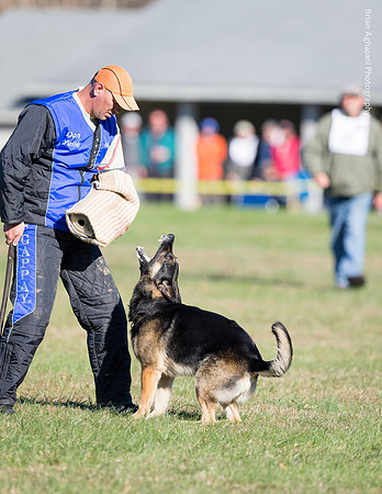 Ken Stuedle & Arko