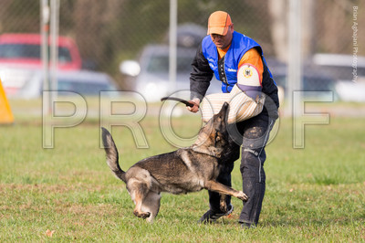 20151115_17739_USCA.Nationals.jpg