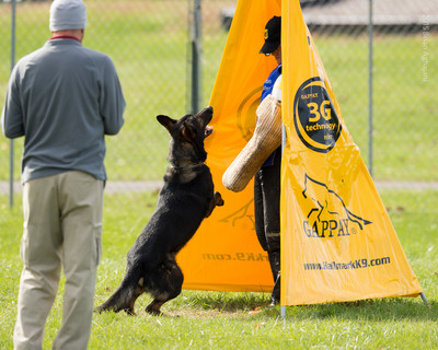20151115_19741_USCA.Nationals.jpg