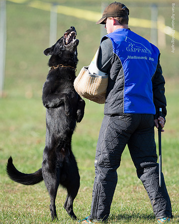 20151114_9587_USCA.Nationals.jpg