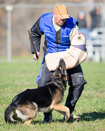 Ken Stuedle & Arko