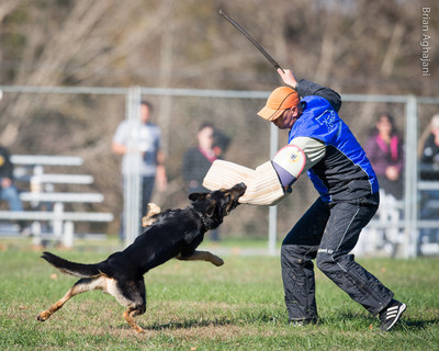 20151114_#10478_USCA.Nationals