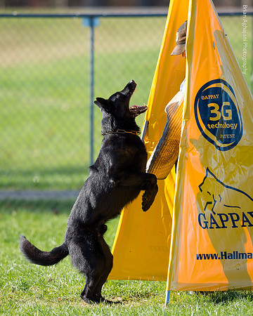 20151114_9490_USCA.Nationals.jpg