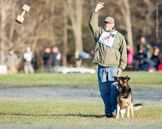 Ken Stuedle & Arko