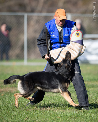 20151114_#10504_USCA.Nationals