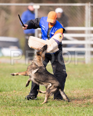 20151115_17729_USCA.Nationals.jpg