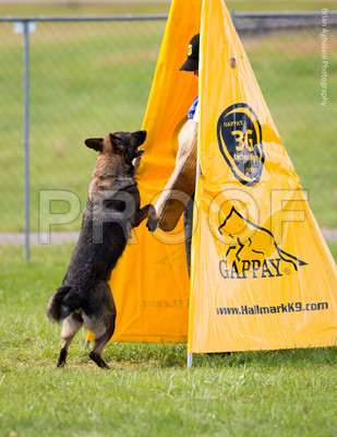 20151115_17655_USCA.Nationals.jpg