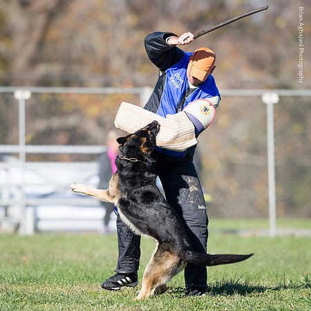 Ken Stuedle & Arko